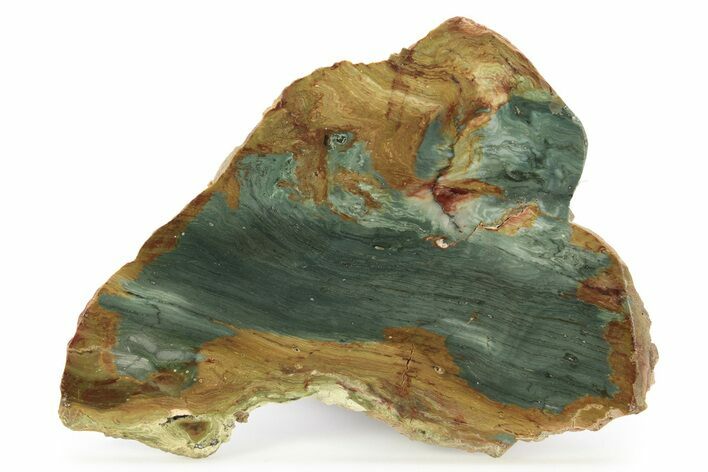 Gary Green Jasper (Larsonite) Bog Wood Slab - Oregon #263377